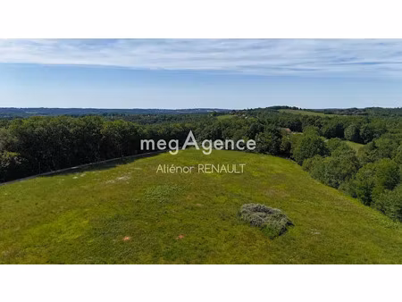 vente terrain à batir 24541 m² à saint-léon-sur-vézère (24290)  143 000 €