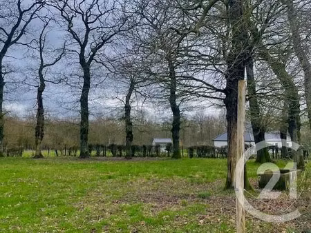 vente terrain à batir 8770 m² à bourthes (62650)  212 000 €
