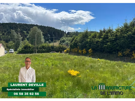 vente terrain à saint-just-malmont (43240)  93 300 €