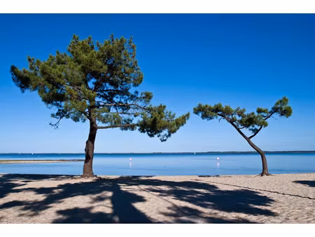 vente terrain 355 m² à lacanau (33680)  219 900 €