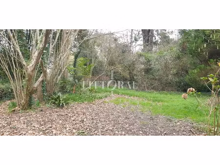 vente terrain à batir 1172 m² à plougonvelin (29217)  343 200 €