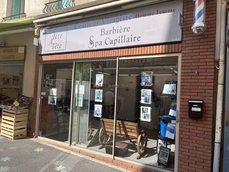 vente locaux professionnels 35 m² à amélie-les-bains-palalda (66110)  44 000 €