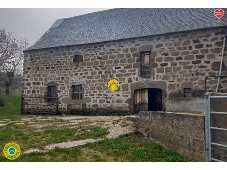 vente locaux professionnels 2 pièces 300 m² à massiac (15500)  37 500 €