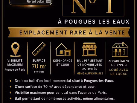 vente locaux professionnels 0 pièces 70 m² à pougues-les-eaux (58320)  56 000 €