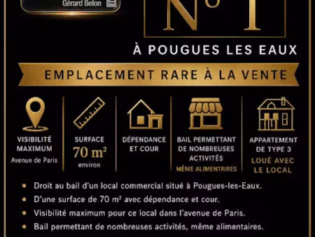 vente locaux professionnels 70 m² à pougues-les-eaux (58320)  56 000 €