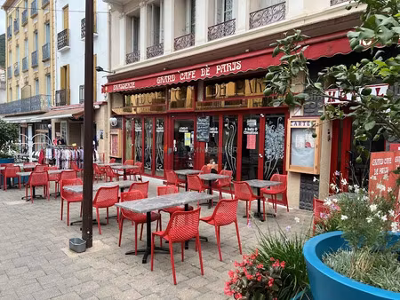vente locaux professionnels 350 m² à amélie-les-bains-palalda (66110)  213 500 €