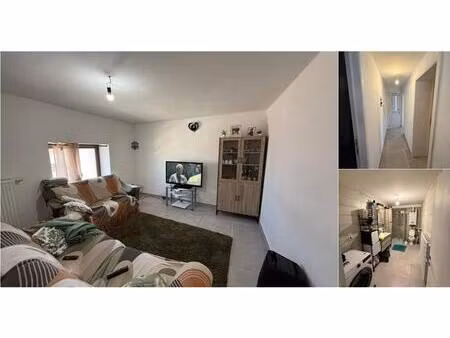 appartement à louer avec 1 chambre   gilly (vbe15740)