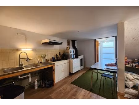 maison de village avec jardins et grange à saint pierre-dels-f