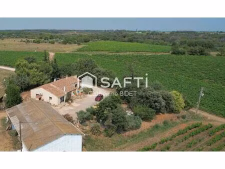 maison de plain pied entouree de vigne