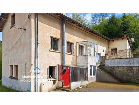 immeuble à vendre saint martin des olmes 10 pièce(s) 207m2 89 500€