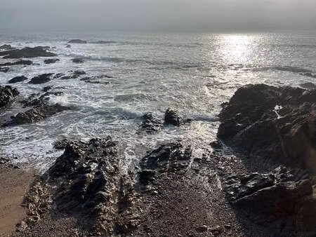 vente terrain piscine à noirmoutier-en-l'île (85330) : à vendre piscine / 917m² noirmoutie