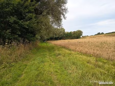 terrain de loisirs
