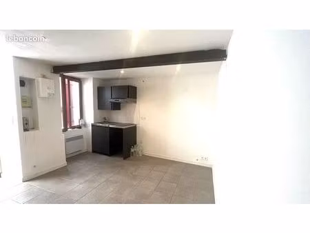 charmant t1 rénové / centre ancien