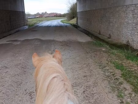 emplacement van deux places