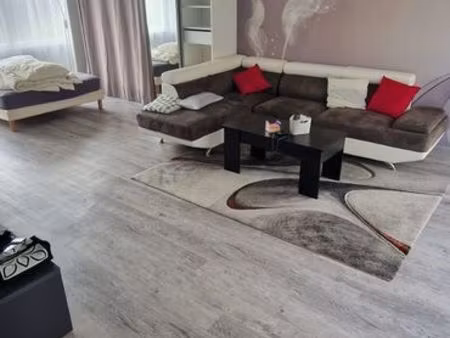 grand studio meublé 39m2 terrasse+jardin pau / jurançon