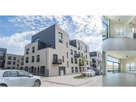 penthouse à louer à avenue de la galvanisation 14 nivelles (vbe15868)