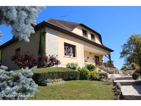 maison à vendre 7 pièces (28)
