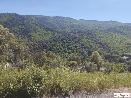 vente terrain 2485 m² à sainte-croix-vallée-française (48110)  80 000 €