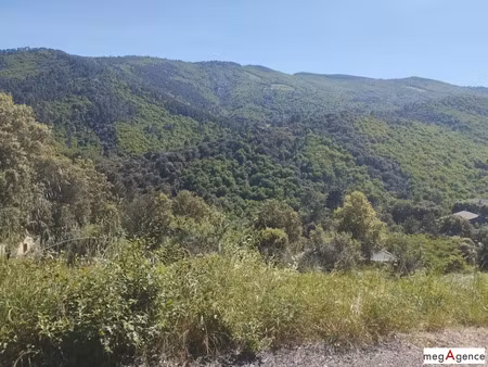 vente terrain à batir 2485 m² à sainte-croix-vallée-française (48110)  80 000 €