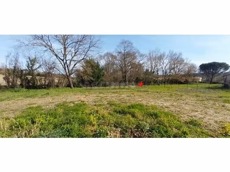 terrain