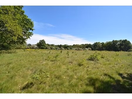 en vente terrain constructible 139 88 ares – 232 500 € |geneston