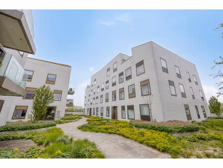 appartement te huur in puurs-sint-amands met 1 slaapkamer