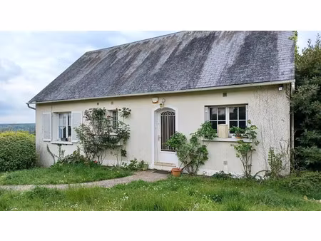 vente maison 3 pièces 75 m² à montrichard (41400)  144 400 €