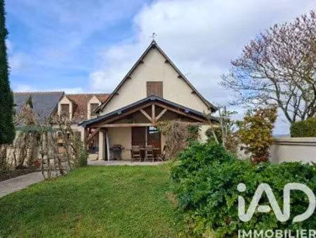maison à panzoult (37220)