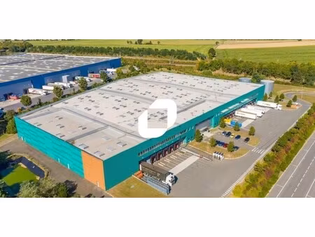 location entrepôt moussy le neuf 77230 16625m²