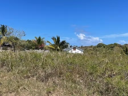 achat terrain 1 088m² anse bertrand 97121
