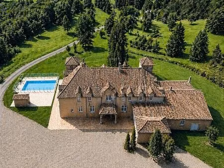 prestigieux château en vente moissac  occitanie