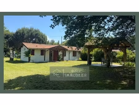 sore - chalet - 37m2 - studio - 1500m2 - garage - landes (40) -
