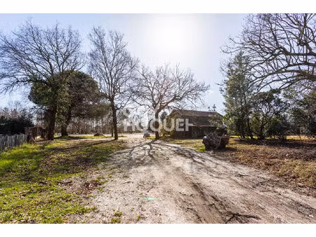 terrain biscarrosse 1259 m²