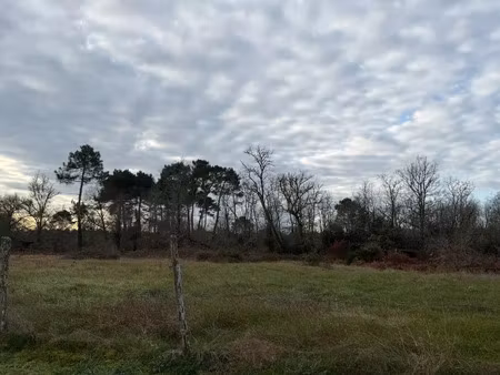vente terrain 850 m² balizac (33730)
