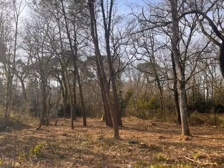 vente terrain 1000 m² landiras (33720)