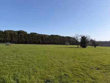 vente terrain 1000 m² langon (33210)