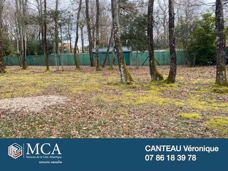 vente terrain 1135 m² breuillet (17920)
