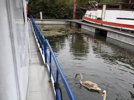 péniche à draveil (91210)