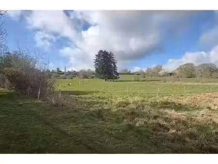 terrain à vendre de 19 m² à honnay (vbe15752)