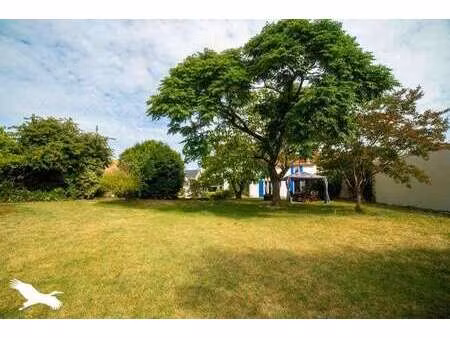 vente maison piscine aux velluire-sur-vendée (85770) : à vendre piscine / 310m² les vellui