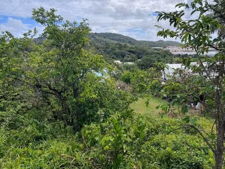 vente terrain 983 m² le robert (97231)