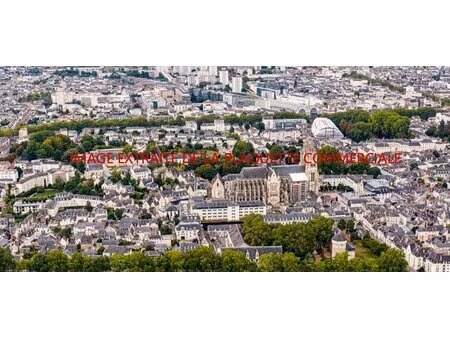 achat : appartement (37100)