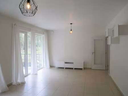 appt 1 chambre avec balcon  cave et parking