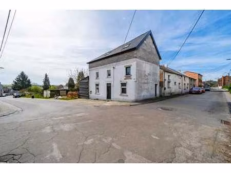 maison 2 chambres à jemeppe-sur-sambre