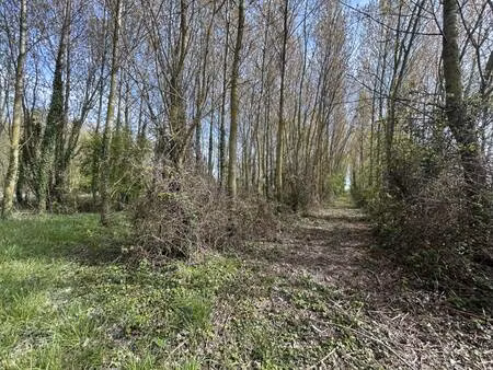 terrain à vendre