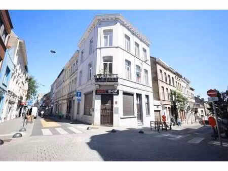 lumineux appartement 2 chambres ( rénové en 2025 )