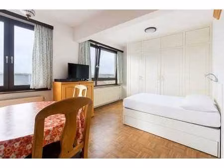 studio lumineux à vendre à la panne !