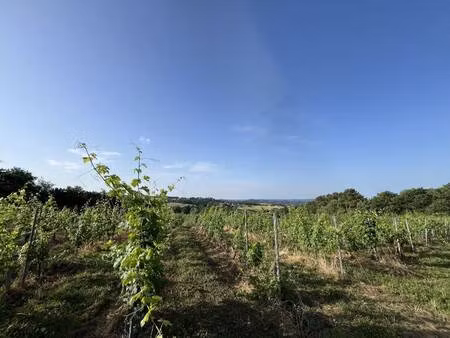 terrain à vendre