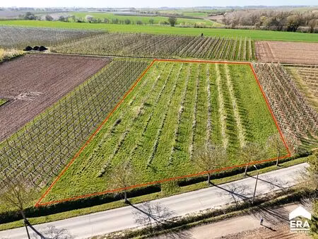 terrain à vendre à gelinden € 54.000 (lnoqu) - era nobis (sint-truiden) | zimmo