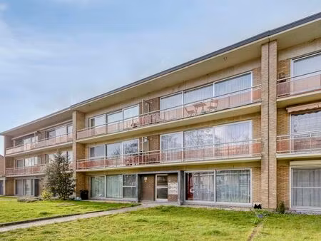 appartement à vendre à lint € 215.000 (lnp9m) - belles vastgoed | zimmo